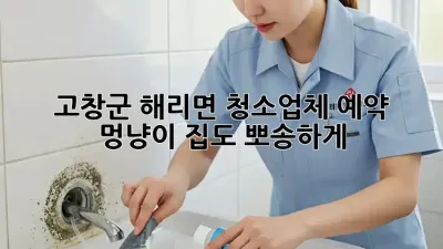 고창군 해리면 청소업체 예약🏡🐾 : 멍냥이 집도 뽀송하게!✨